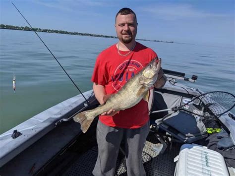 Walleye Vs Zander Similarities And Differences Strike And Catch