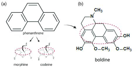 Phenanthrene Based Molecules A Common Structure And Presence Of