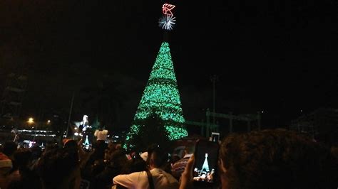 Festival Arbol Gallo 2019 Guatemala YouTube