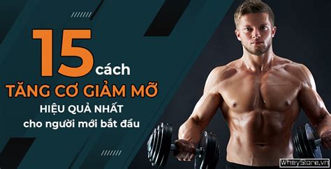 Bí Quyết ăn Gì để Tăng Cân Giảm Mỡ Hiệu Quả Và Nhanh Chóng