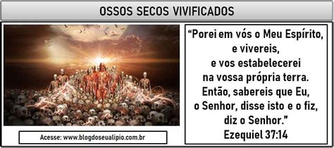 OSSOS SECOS VIVIFICADOS Blog Do Seu Alipio