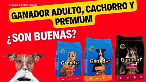 Analisis De Croquetas Ganador Adulto Cachorro Y Premium YouTube