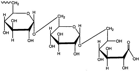 Carbohydrates polymer examples: All you need to know