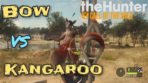 Kangaroo Hunting With A Bow Emerald Coast Australia The Hunter Call