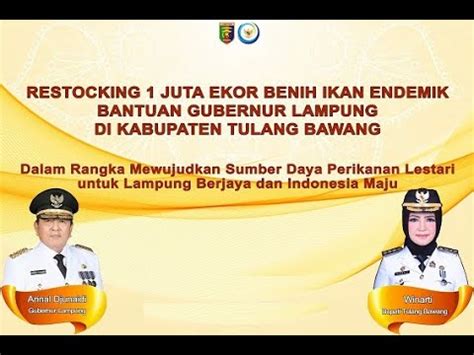 RESTOCKING SATU JUTA EKOR BENIH IKAN ENDEMIK BANTUAN GUBERNUR LAMPUNG