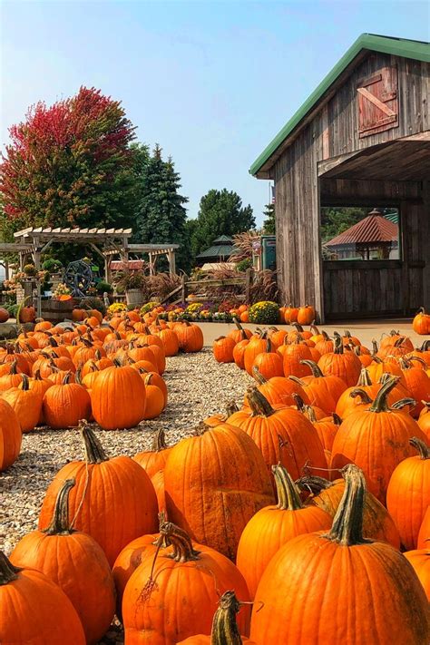 Pin by Debra Redding on A Thing for Pumpkins in 2024 | Pretty places ...