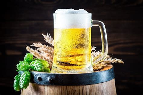 RECETA Así puedes hacer tu propia cerveza casera Gastrolab