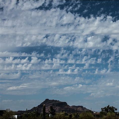 Castellanus Cloud Appreciation Society