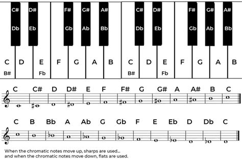 Scale In Music Phamox Music