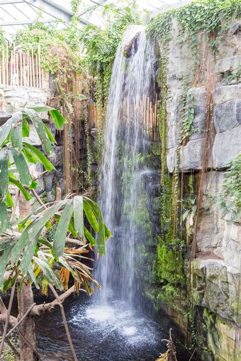 Man Made Waterfall In Omaha Zoo Stock Image Image Of Waterfall