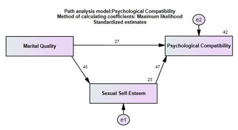 The Mediating Role Of Sexual Self Esteem In The Relationship Between