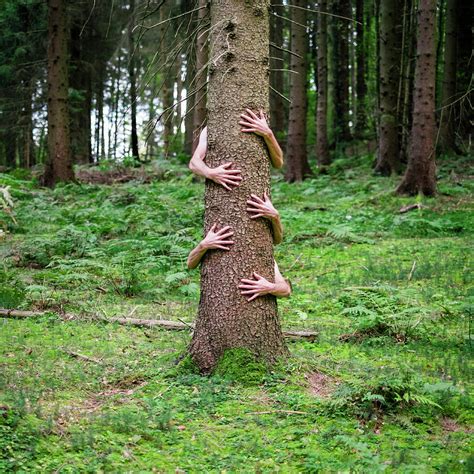 Hands Hugging A Tree In A Forest Photograph By Jason Langley Fine Art