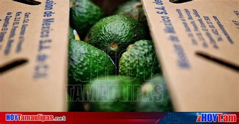 Hoy Tamaulipas Exportacion En Mexico Inicia Jalisco Exportacion De