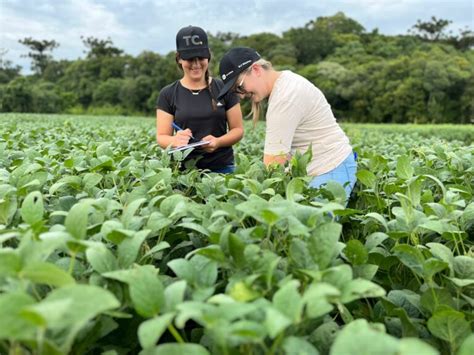 Curso De Agronomia Unideau Ideau Get Lio Vargas