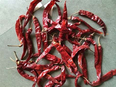 Wonder Hot Red Chilli At Best Price In Jaipur By Santosh Trading Company ID