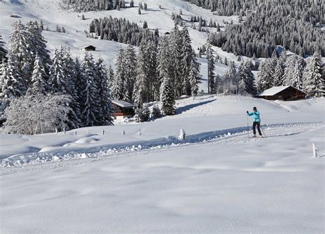 Piste Les MossesLa Lécherette Suisse Tourisme