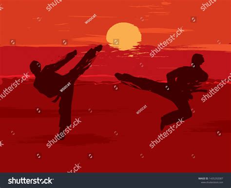 Korean Martial Arts Background