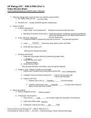 Ap Bio Dna Rna Part Worksheet Wl Pdf Ap Biology Dna Rna