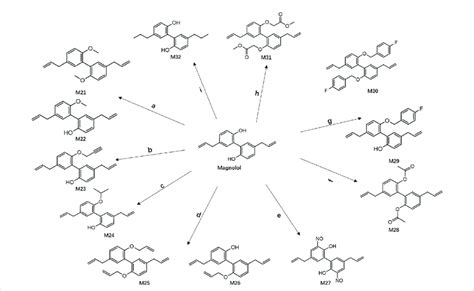 Scheme 1 Reagents And Conditions A Propargyl Bromide Sodium Download Scientific Diagram