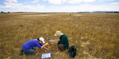 Grassland Threatened Species Victorian National Parks