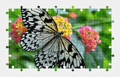 Paper Kite Butterfly Jigsaw Puzzles Online