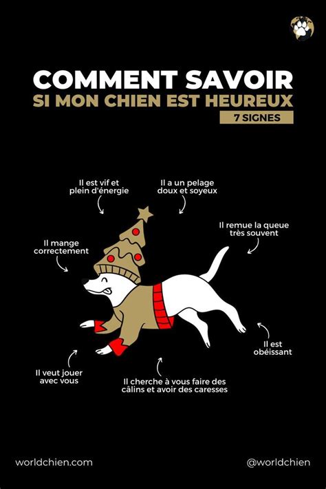 Signes Qui Prouvent Que Votre Chien Est Heureux Artofit