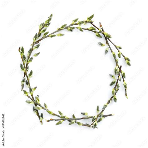 Pussy Willow Branches Circle Frame Decorative Wreath On White Background Perfect For Easter