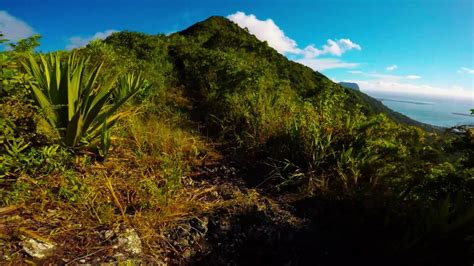 Piton De La Petite Rivière Noire And Piton Du Canot Hiking Mauritius