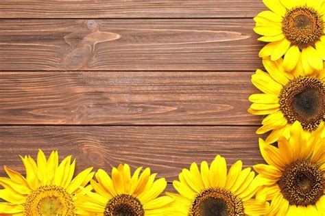 Sunflowers on wooden background — Stock Photo © alexraths #121731154