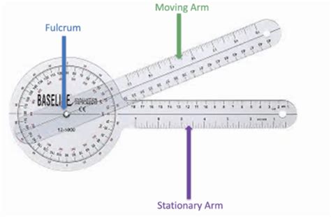 Intro To Goniometry Flashcards Quizlet
