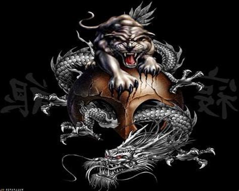 yin yang tiger dragon tattoo design - Dorsey Tecame