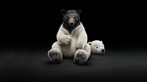 Funny Bear Face Expression Black Background HD Funny Bear Wallpapers ...