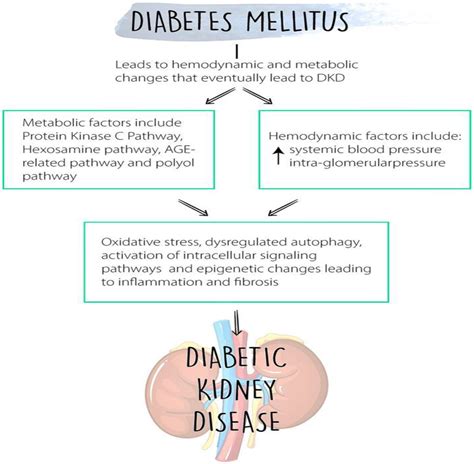 Diabetic Kidney Disease