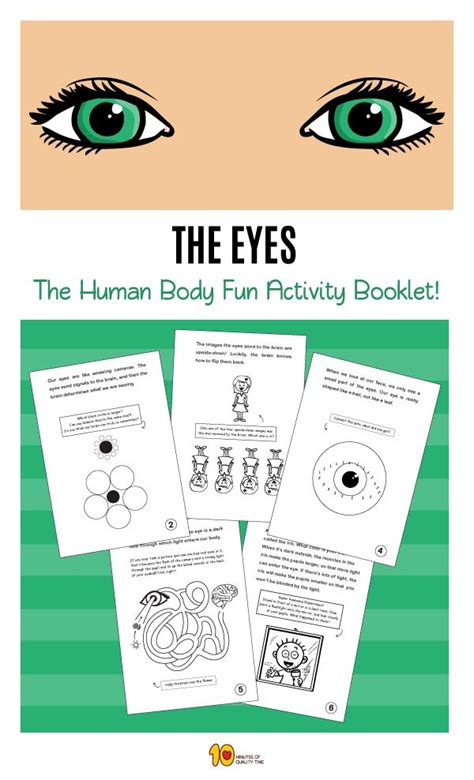 The Eyes The Human Body Fun And Short Activity Booklet Science