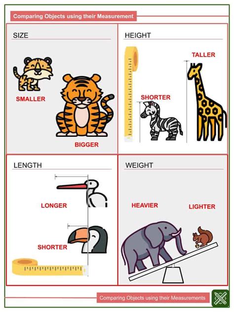 Weight Comparisons To Objects