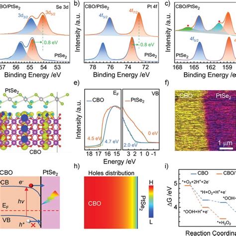 Van Der Waals Heterojunctionbased Photocathode A Schematic