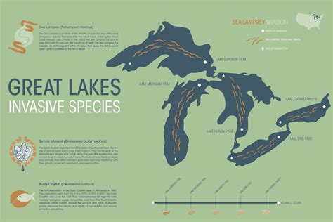 Information Graph of the Great Lakes - Invasive Species :: Behance