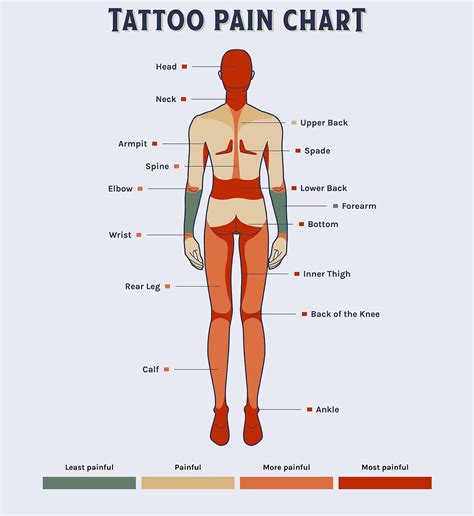 Tattoo Pain Levels And Influencing Factors Molong Tattoo Supply