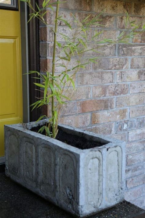 Extra Large Silicone Planter Molds Plant Ideas