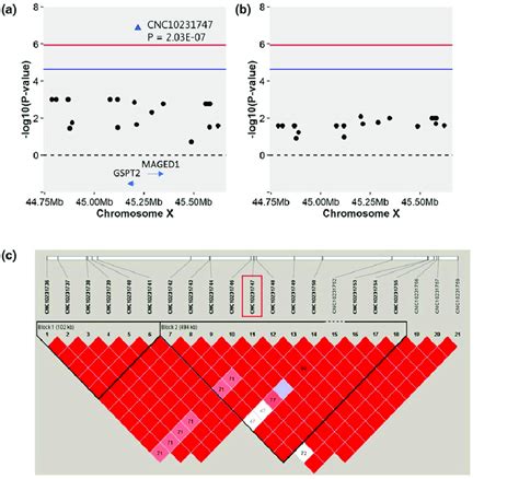 The Regional Association Plot And Linkage Disequilibrium Ld Blocks Of