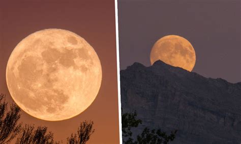 Luna De Trueno El Eclipse Penumbral Que Se Ver Este Y De Julio