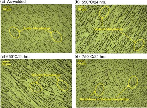 Optical Micrographs For Aisi 316l Weld Under Different Aging