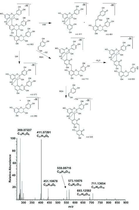 Characteristic Fragmentation Pathway And The Ms Ms Of A Type