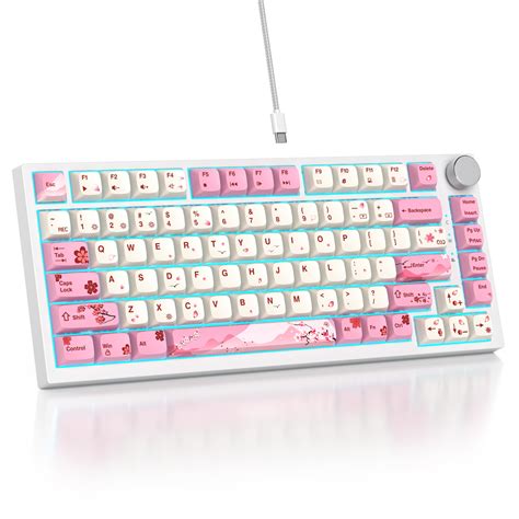 Snapklik Mosptnspg TKL Wired Mechanical Keyboard RGB Backlit Gasket Mount Key Hot