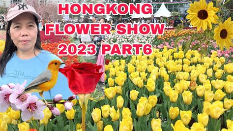 Hongkong Flower Show Part Youtube