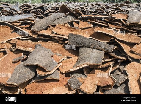 Pile Of Bark From Cork Stock Photo Alamy