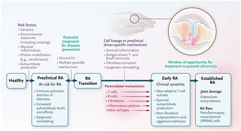 Rheumatoid Arthritis Common Origins Divergent Mechanisms Nejm