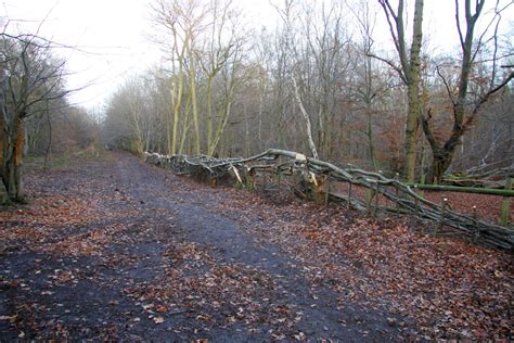 Interesting Features Friends Of Northaw Great Wood