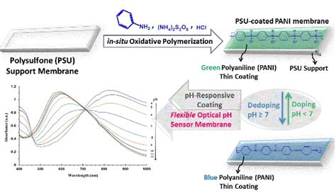 Sensors Free Full Text A Flexible Optical Ph Sensor Based On