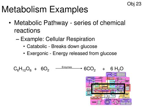 Topic 5 Chemical Reactions And Enzymes Ppt Download